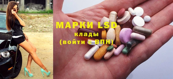 PSILOCYBIN Горняк