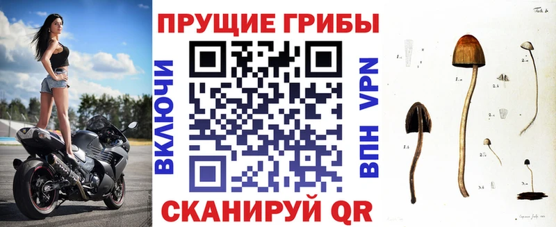 Галлюциногенные грибы Magic Shrooms  сайты даркнета официальный сайт  Одинцово  KRAKEN ONION 